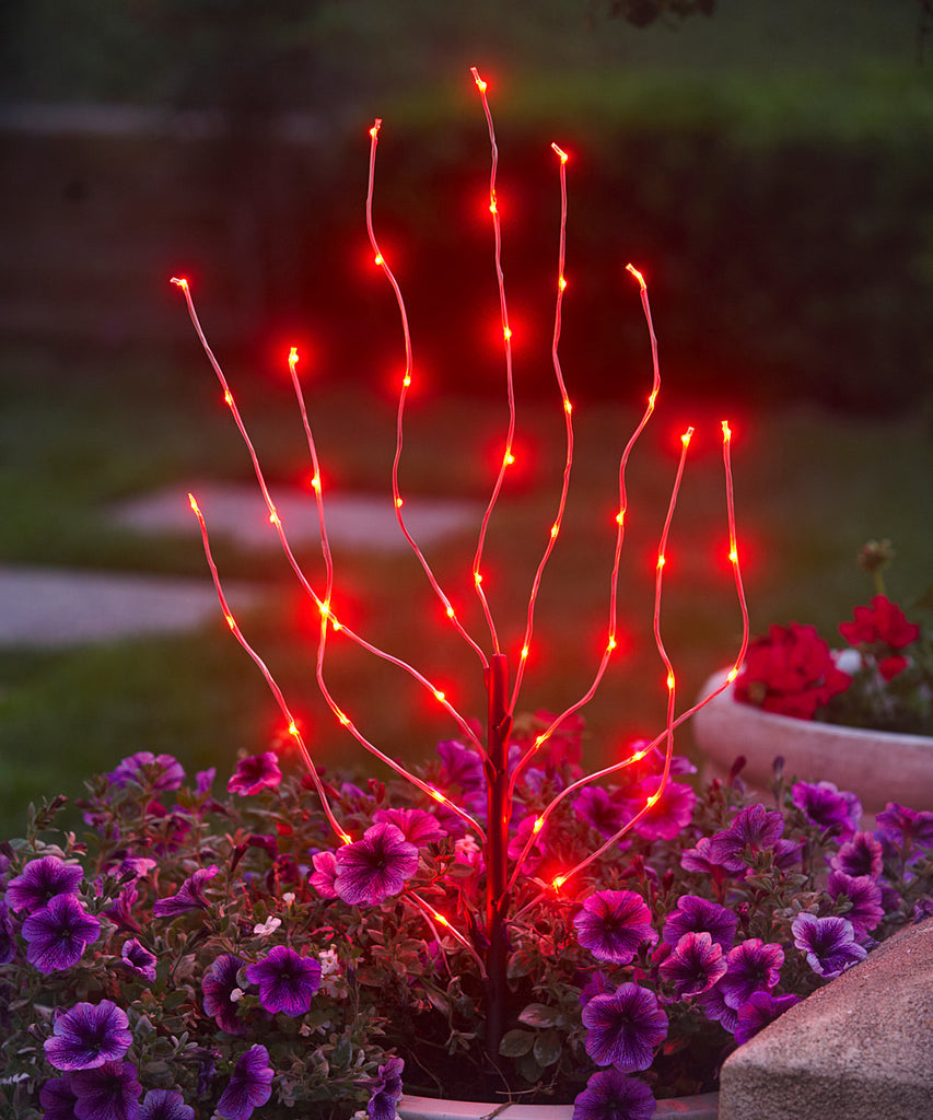 Red Branch Light